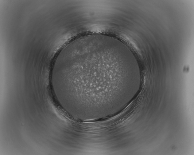 X0000090440496200707201256