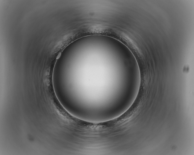 X0000090440497200707201256