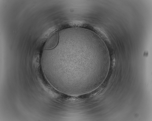 X0000090440498200707201256