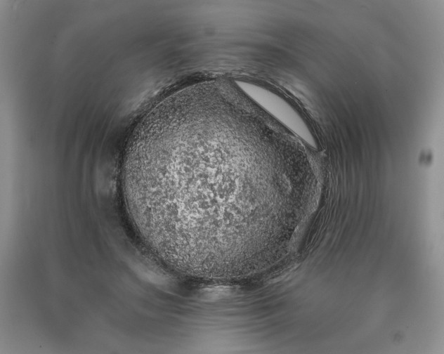 X0000090440499200707201256