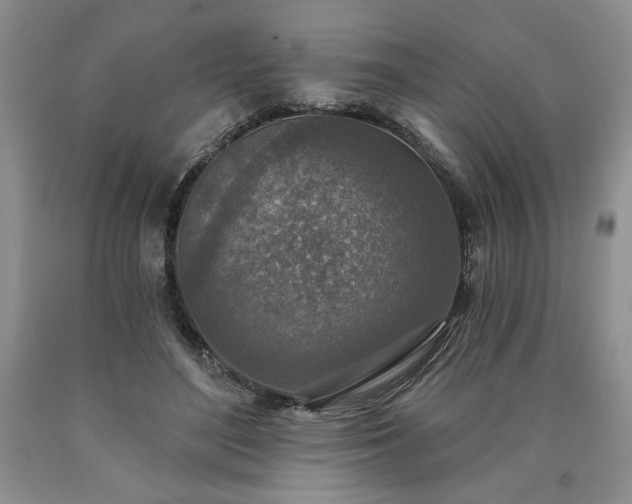 X0000090440500200707201256