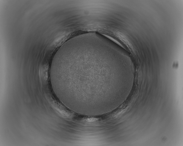 X0000090440501200707201256