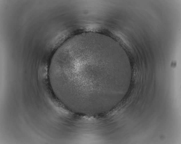 X0000090440502200707201256