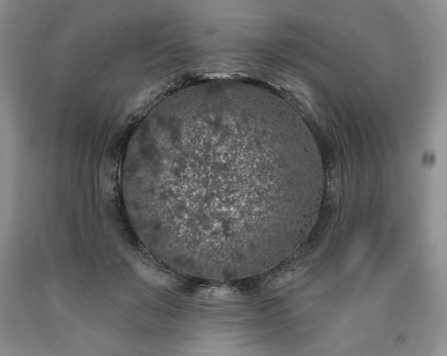 X0000090440503200707201256