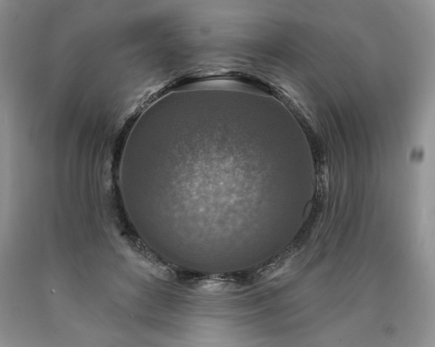 X0000090440504200707201256