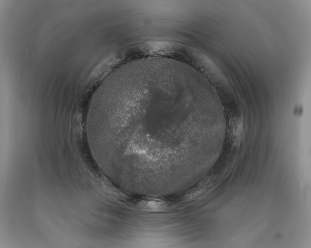 X0000090440506200707201256