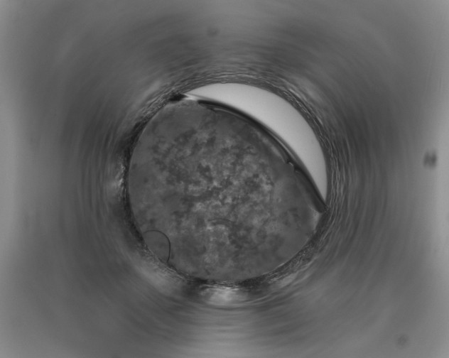 X0000090440507200707201256