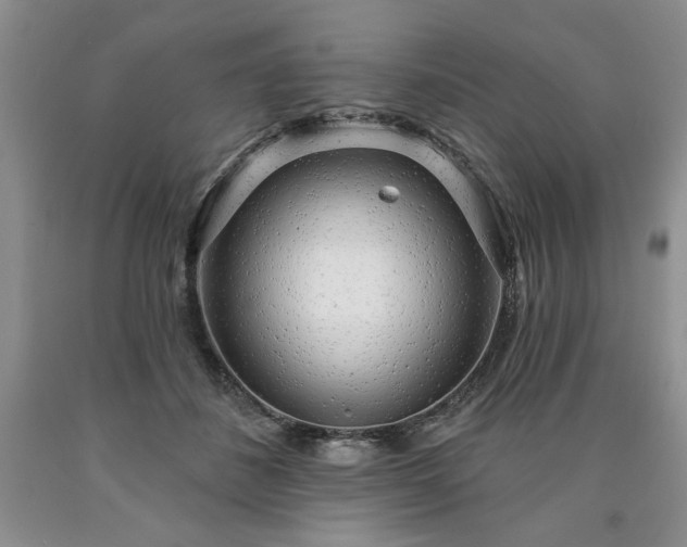 X0000090440508200707201256