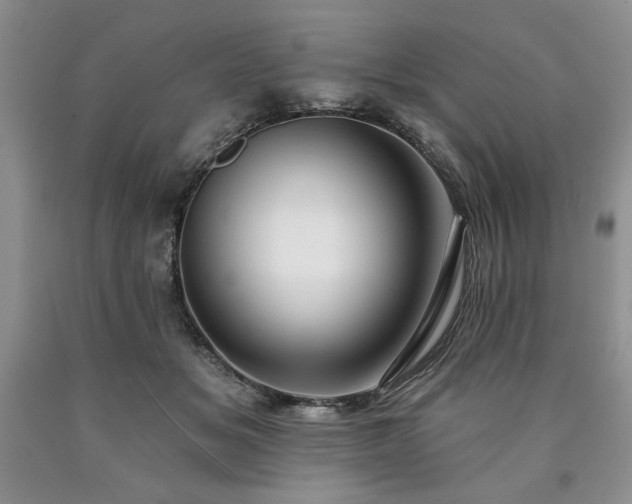 X0000090440509200707201256