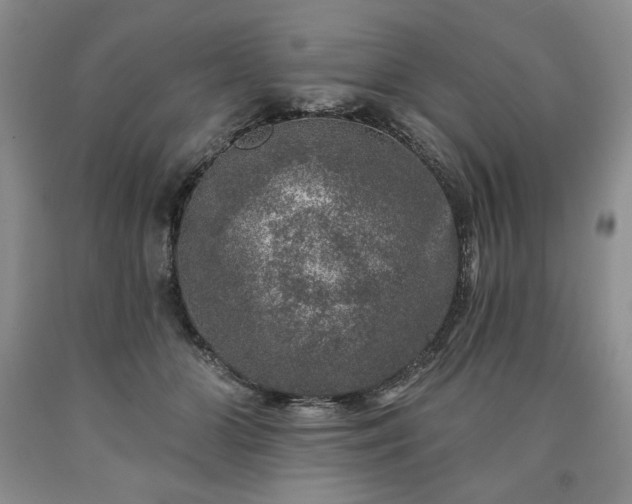 X0000090440510200707201256