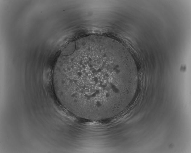 X0000090440511200707201256