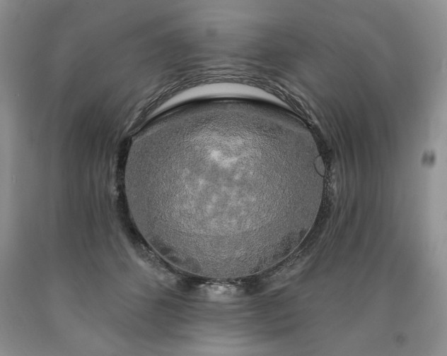 X0000090440512200707201255