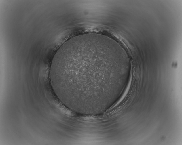 X0000090440513200707201255