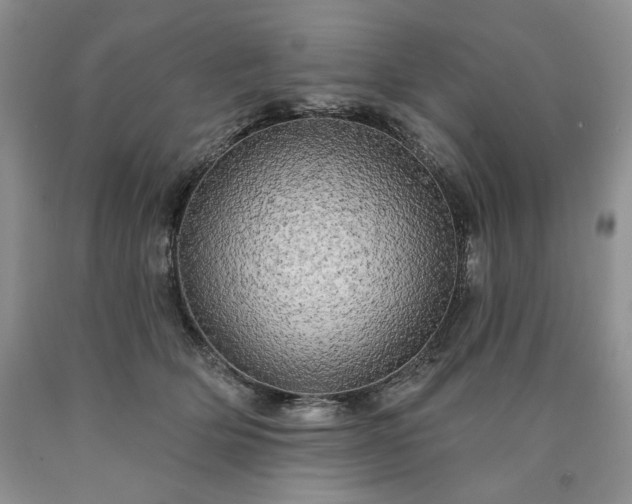 X0000090440514200707201255