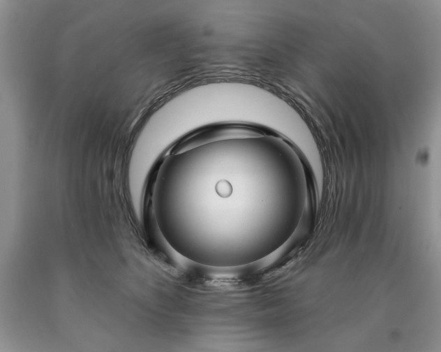 X0000090440516200707201255