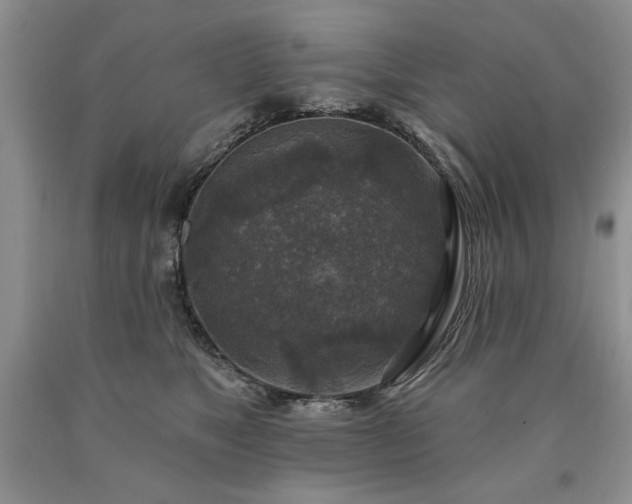 X0000090440517200707201255