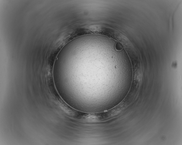 X0000090440518200707201255