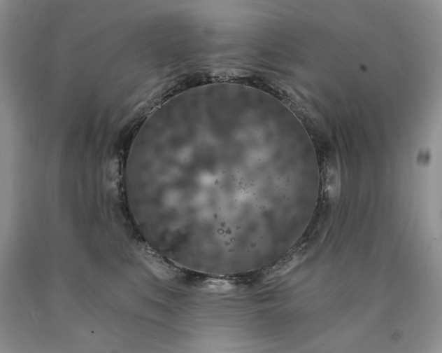 X0000090440519200707201255