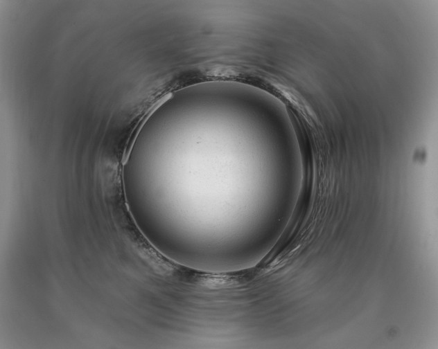 X0000090440521200707201255