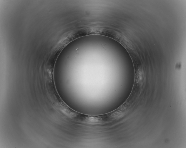 X0000090440522200707201255