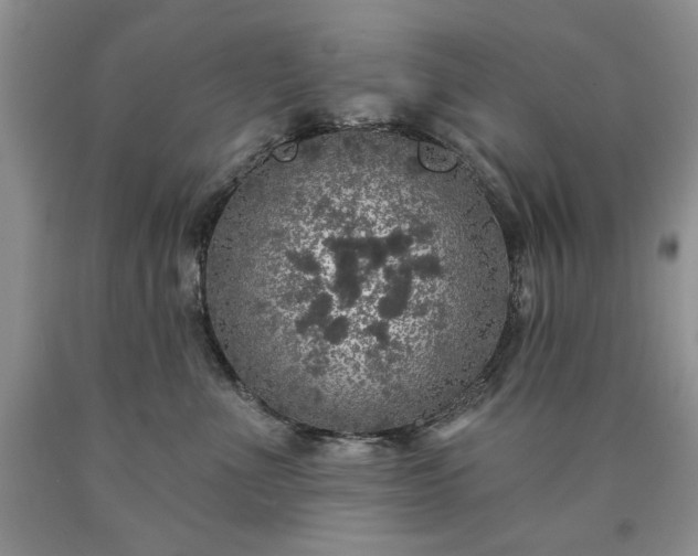 X0000090440523200707201255