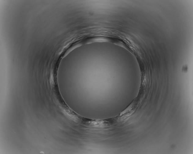 X0000090440524200707201255