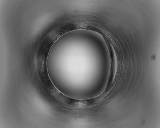 X0000090440525200707201255