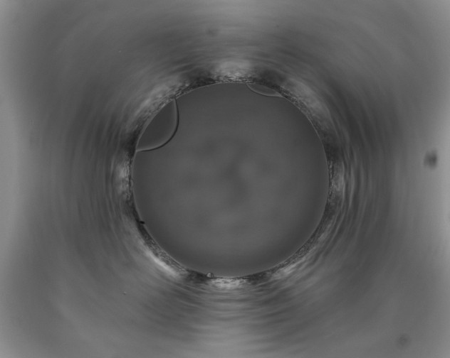 X0000090440526200707201255