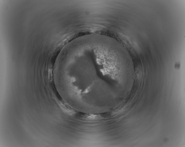 X0000090440527200707201255