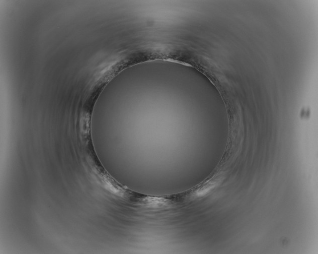 X0000090440528200707201255