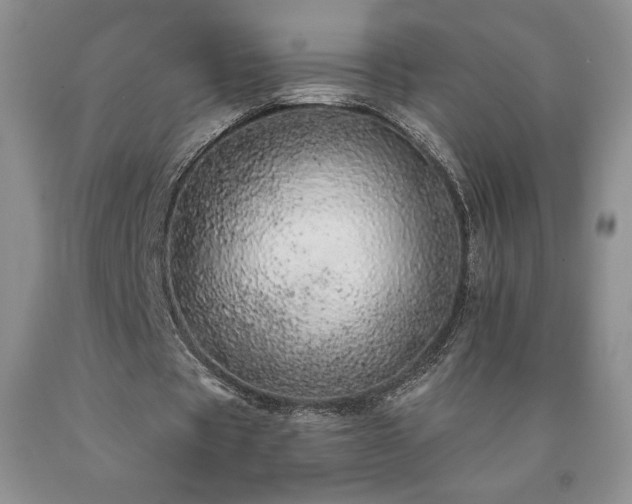 X0000090440529200707201255