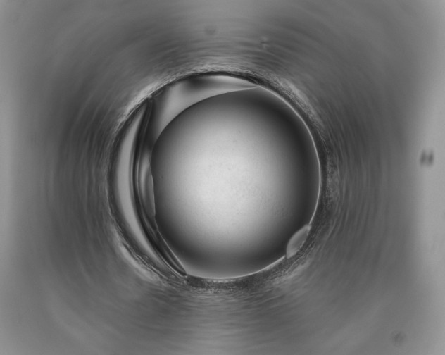 X0000090440530200707201255