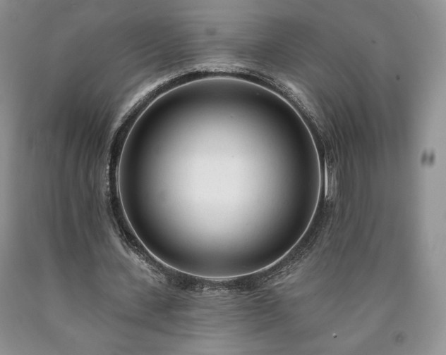 X0000090440531200707201255