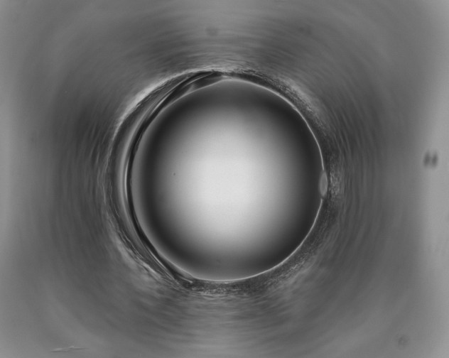 X0000090440532200707201255