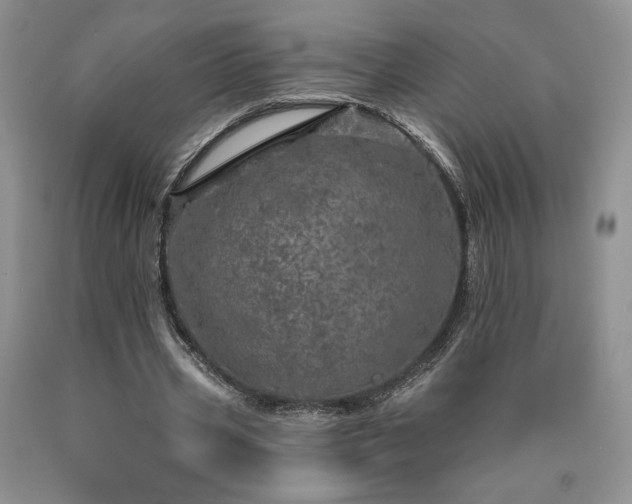 X0000090440533200707201255