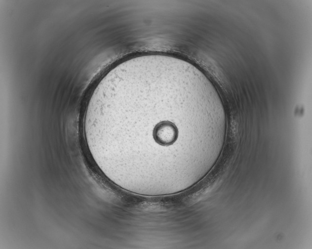 X0000090440534200707201255