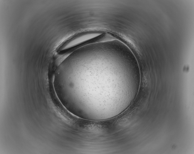 X0000090440535200707201255