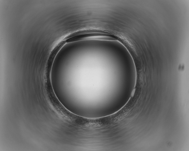 X0000090440536200707201255