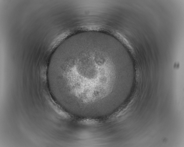 X0000090440537200707201255