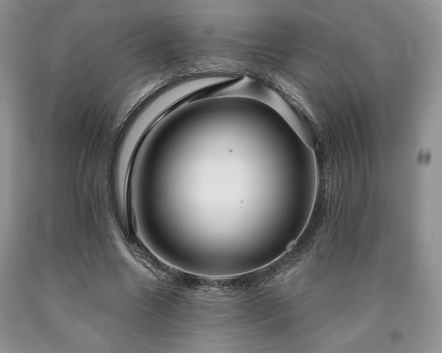 X0000090440538200707201255