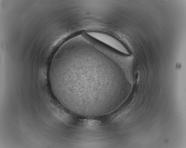 X0000090440539200707201255