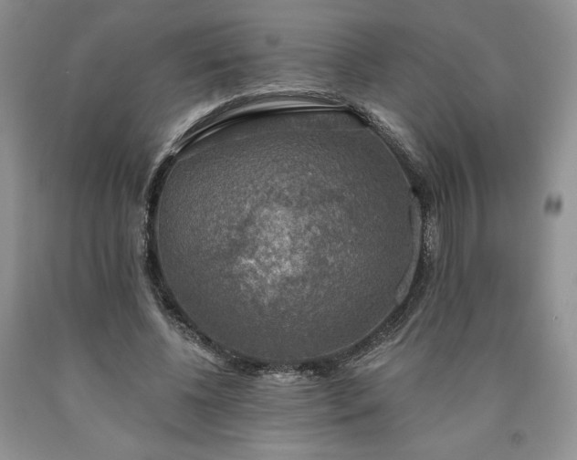 X0000090440540200707201255