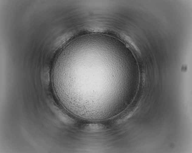 X0000090440541200707201255