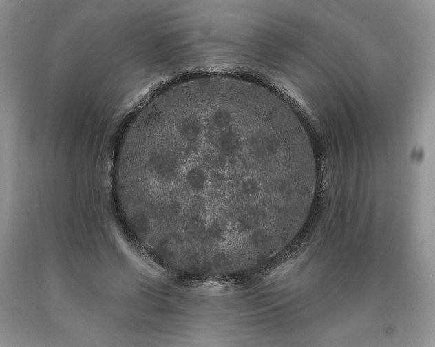 X0000090440542200707201255