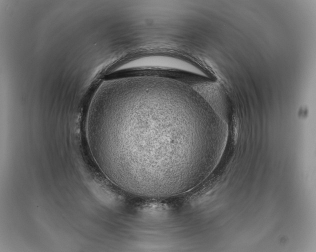 X0000090440543200707201255