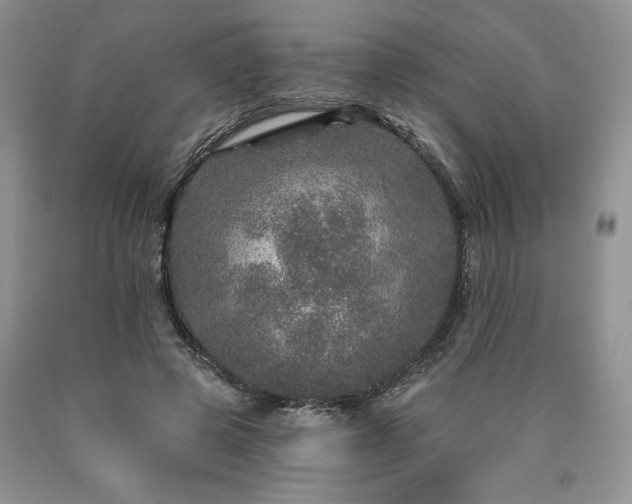 X0000090440545200707201255