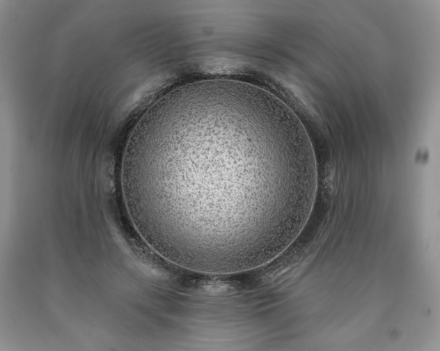 X0000090440547200707201255