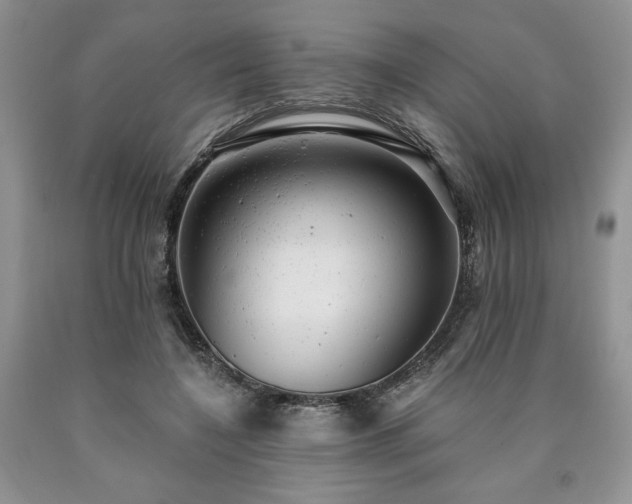 X0000090440548200707201255