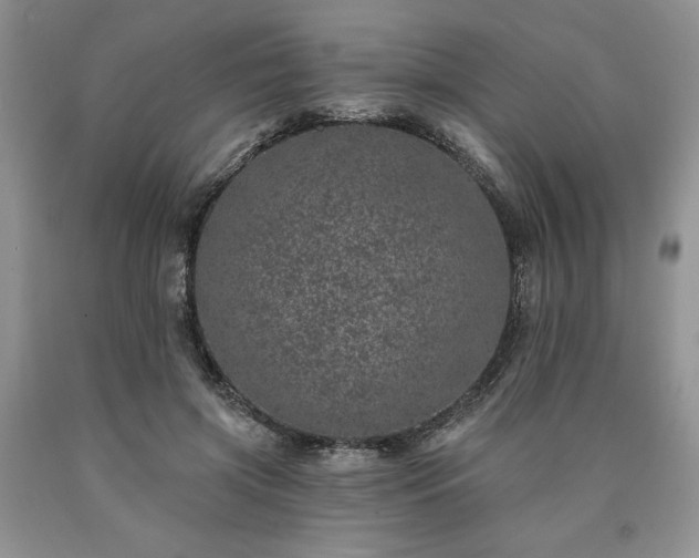 X0000090440549200707201255