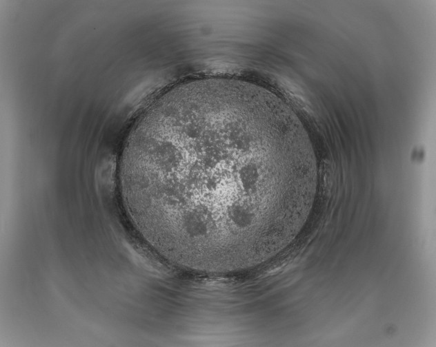 X0000090440550200707201255